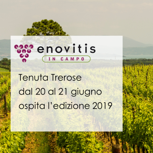 Enovitis in Campo 2019 at Trerose